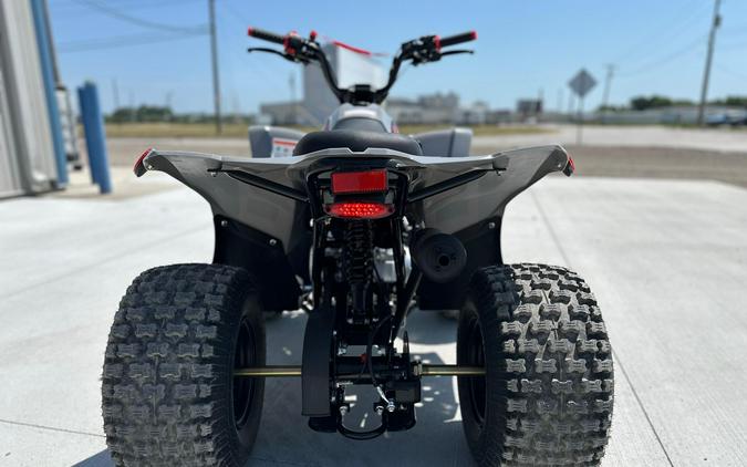 2026 Ice Bear Powersports GRZ125-D