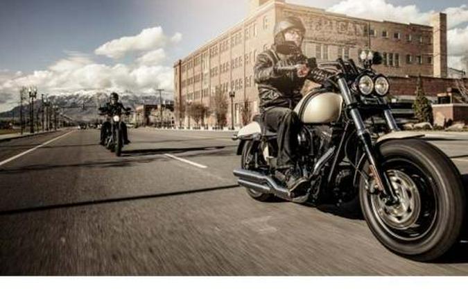 2014 Harley-Davidson Dyna® Fat Bob®