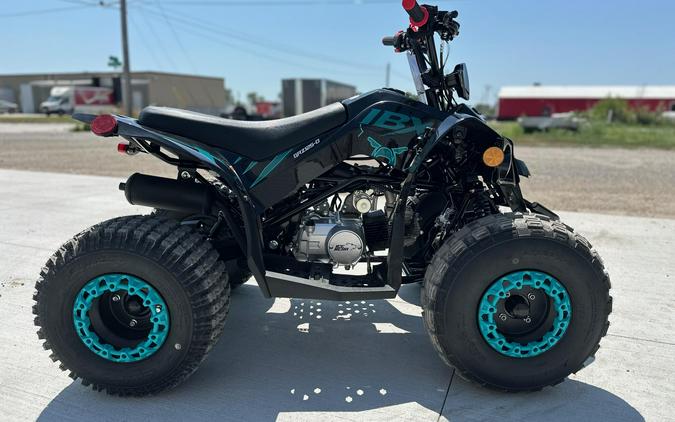 2026 Ice Bear Powersports GRZ125-D