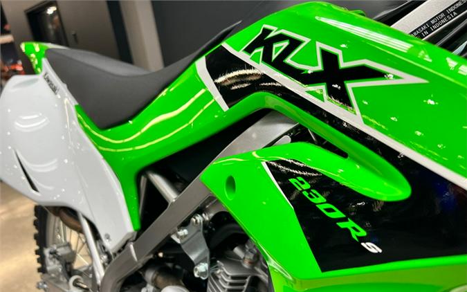 2023 Kawasaki KLX230R S