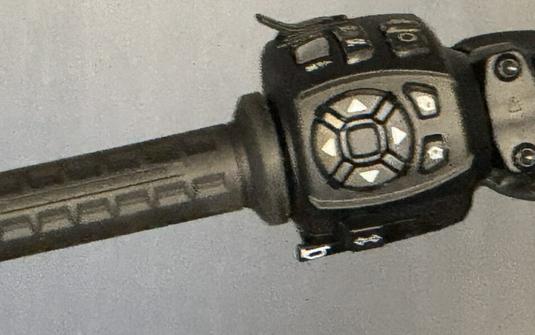 2025 Harley-Davidson Nightster® Special RH975S WHISKEY FIRE