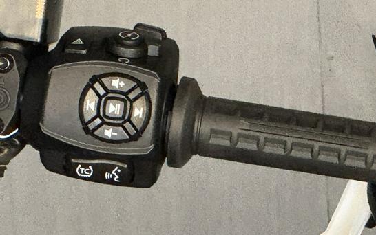 2025 Harley-Davidson Nightster® Special RH975S WHISKEY FIRE