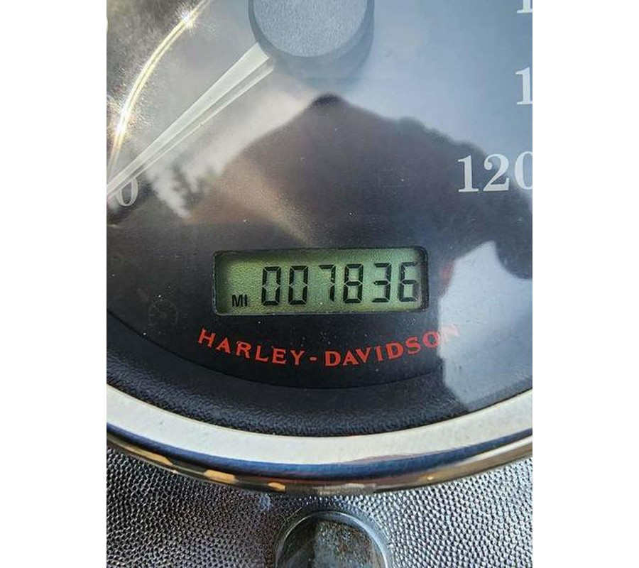 2007 Harley-Davidson® FXST - Softail® Standard