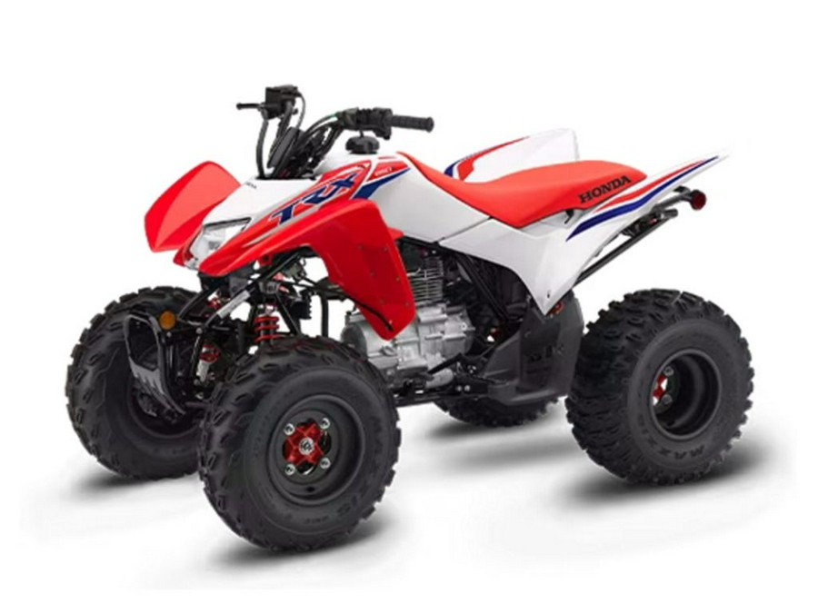 2024 Honda TRX 250X