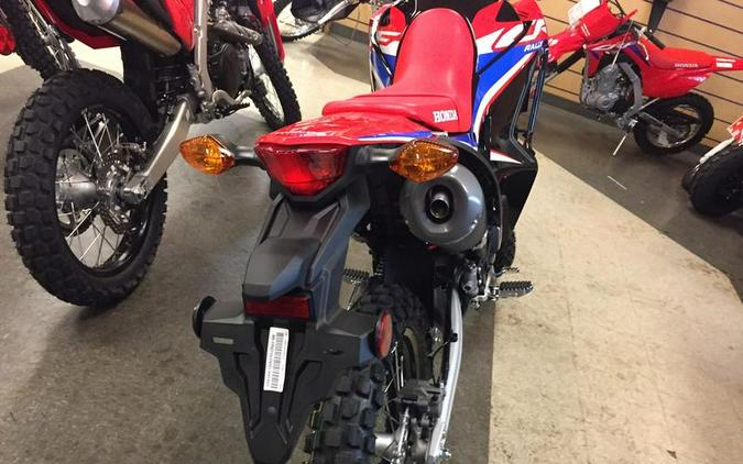 2024 Honda® CRF300L Rally ABS