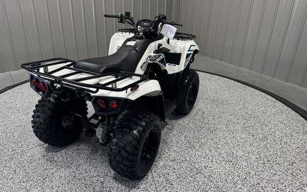 2023 Kawasaki Brute Force 300
