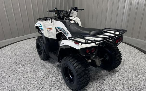 2023 Kawasaki Brute Force 300