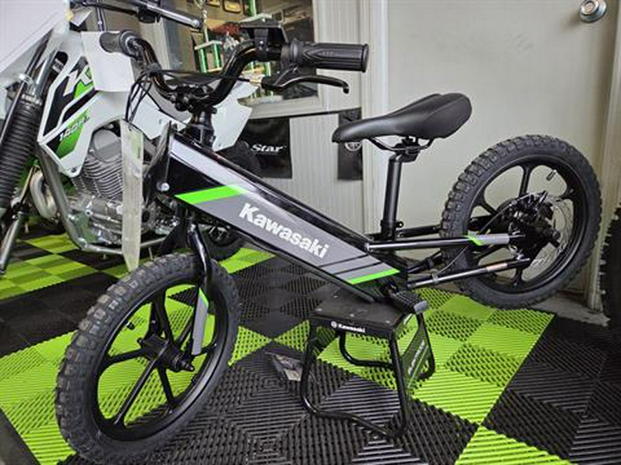 2025 Kawasaki Electrode 16