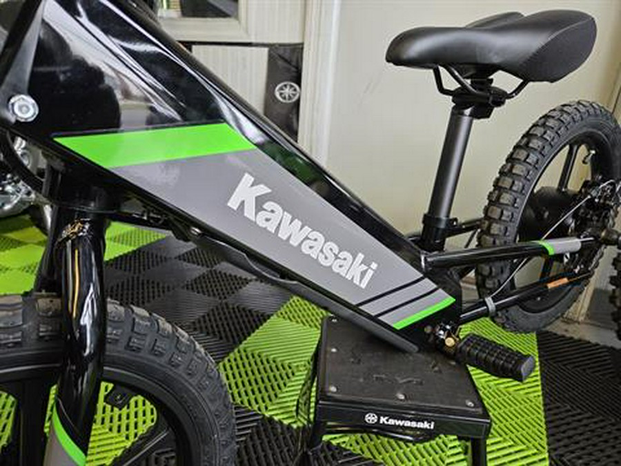 2025 Kawasaki Electrode 16