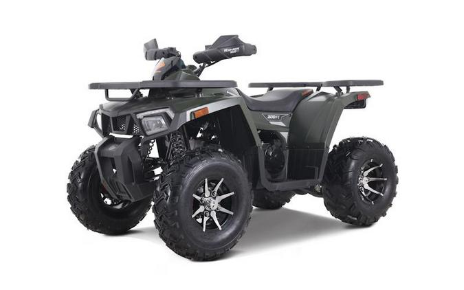 2026 Denago Powersports Mudhawk 200 FI