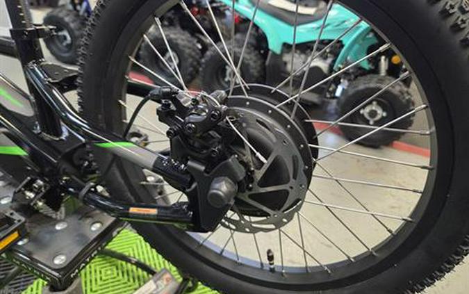 2025 Kawasaki Elektrode 20