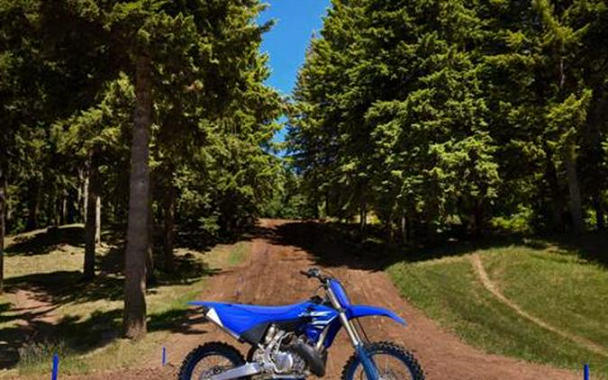 2025 Yamaha YZ250