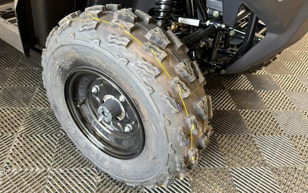 2026 Kawasaki Brute Force 300