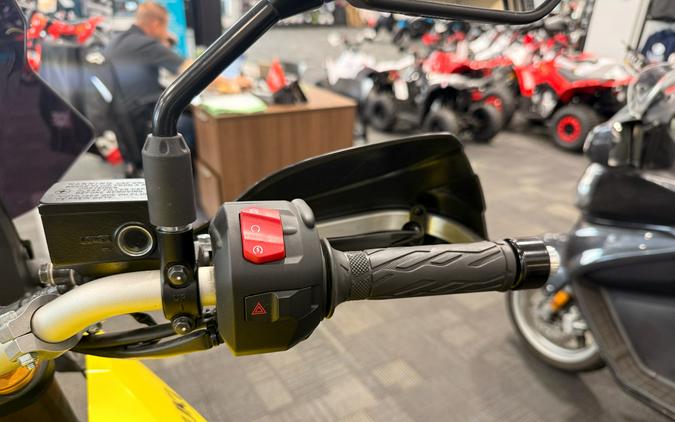 2023 Suzuki Motor of America Inc. V-Strom 800DE
