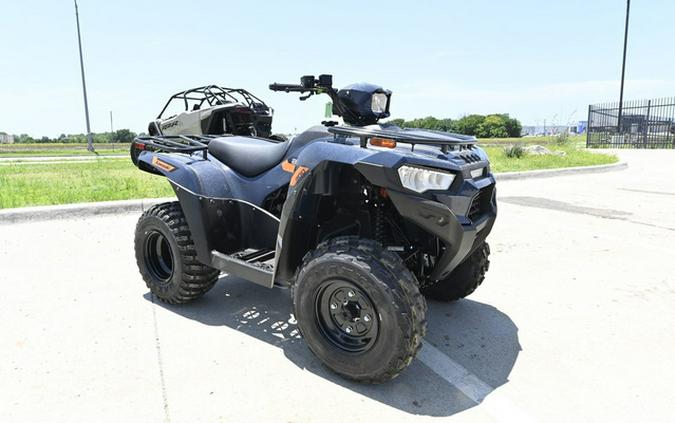 2026 Kawasaki Brute Force 300