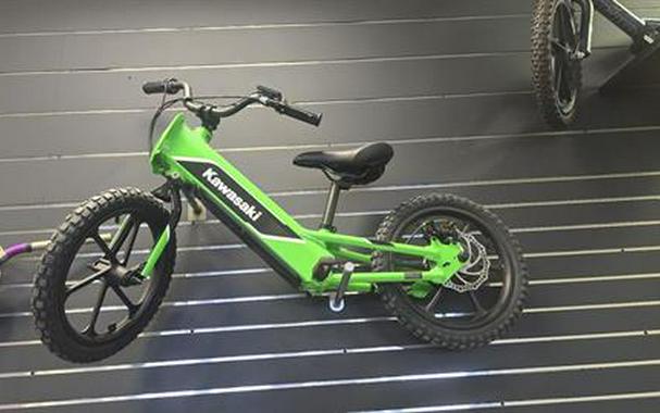 2023 Kawasaki Elektrode