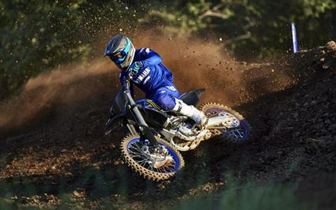 2025 Yamaha YZ250F Monster Energy Edition