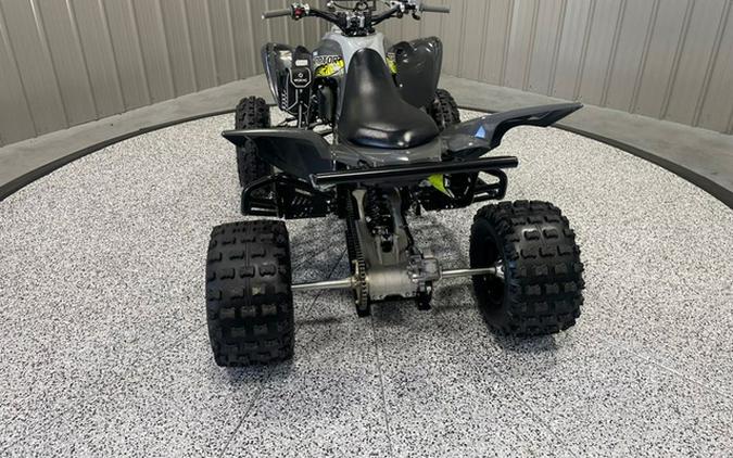 2019 Yamaha Raptor 700