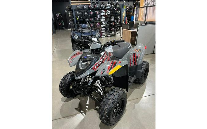 2024 Polaris Industries PHOENIX 200 - AVALANCHE GRAY