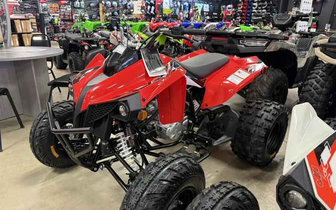 2026 Kayo Storm 300 EFI