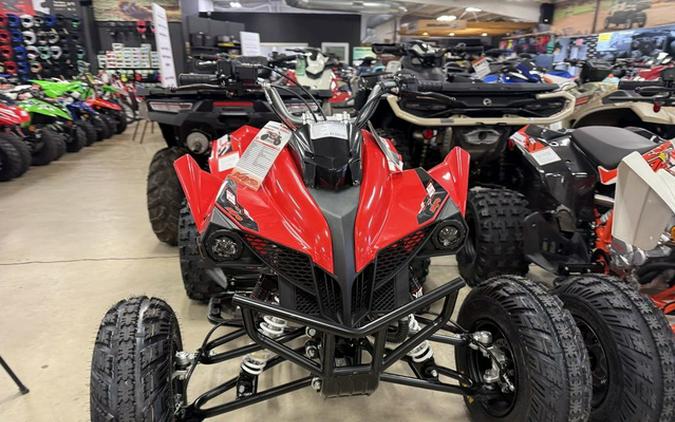 2026 Kayo Storm 300 EFI