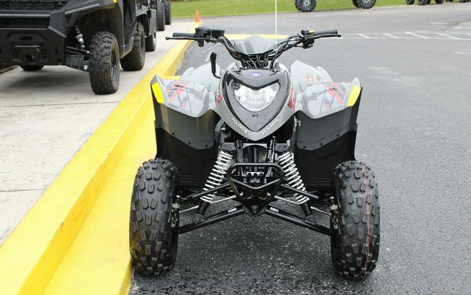 2024 Polaris Industries PHOENIX 200 / A24YAP20A4