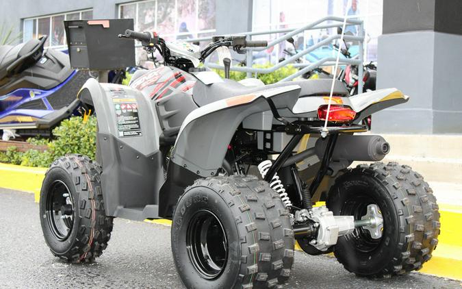 2024 Polaris Industries PHOENIX 200 / A24YAP20A4