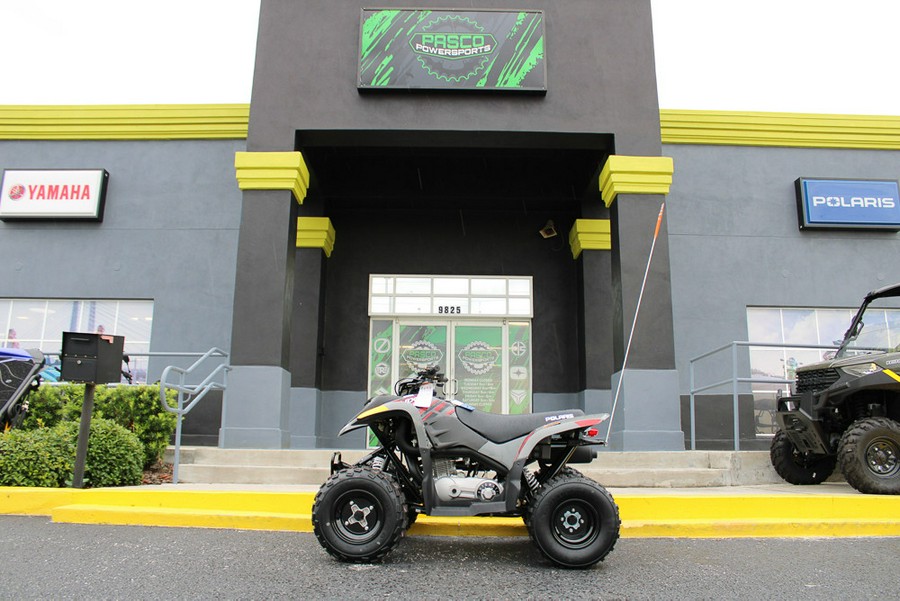 2024 Polaris Industries PHOENIX 200 / A24YAP20A4