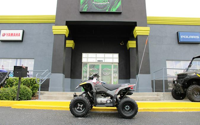 2024 Polaris Industries PHOENIX 200 / A24YAP20A4