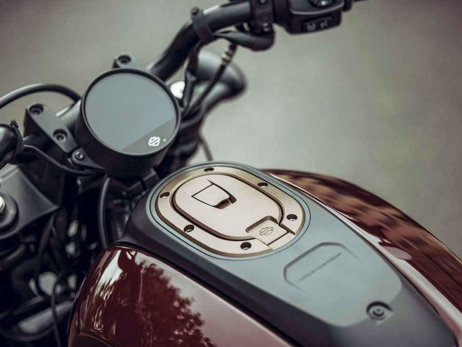 2021 Harley-Davidson Sportster® S