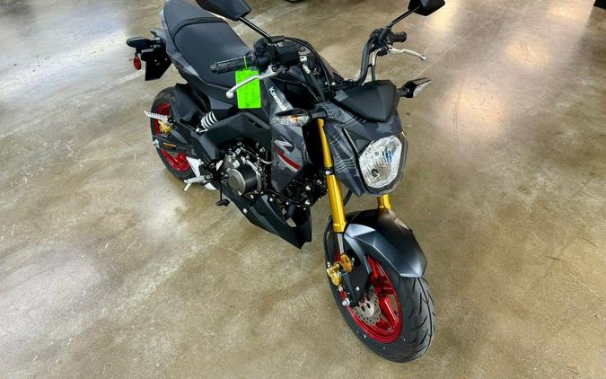 2024 Kawasaki Z125 PRO