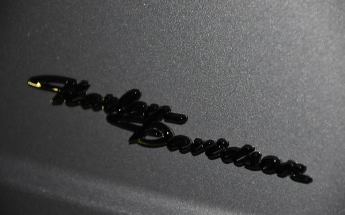 2020 Harley-Davidson Freewheeler