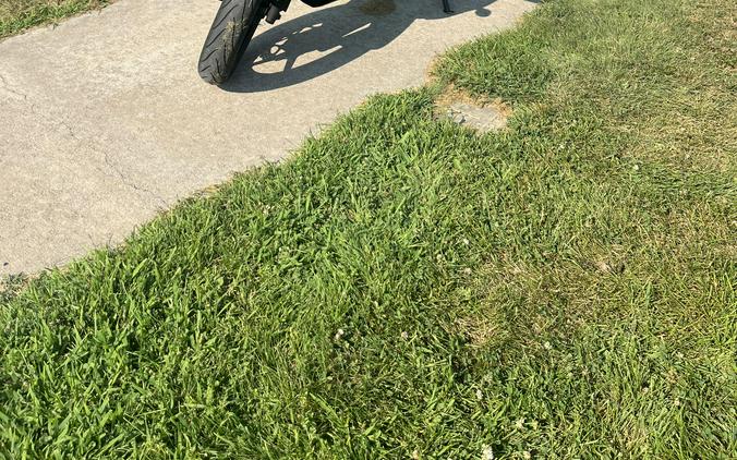 2009 NINJA 250R - Kawasaki