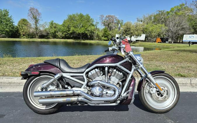 VRSCA 2005 V-Rod