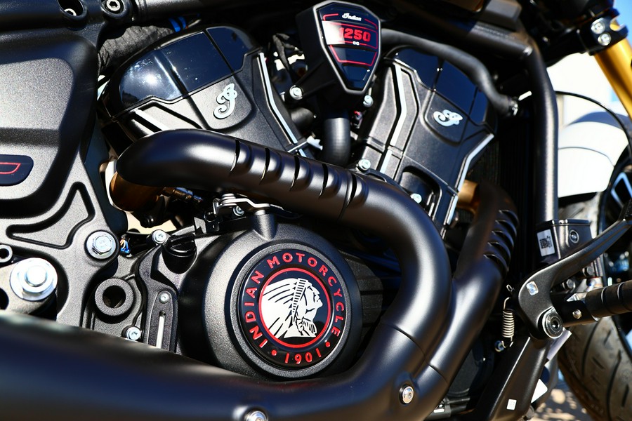 2025 Indian Motorcycle 101 SCOUT WHITE METALLIC WITH GRAPHICS TEC 49ST