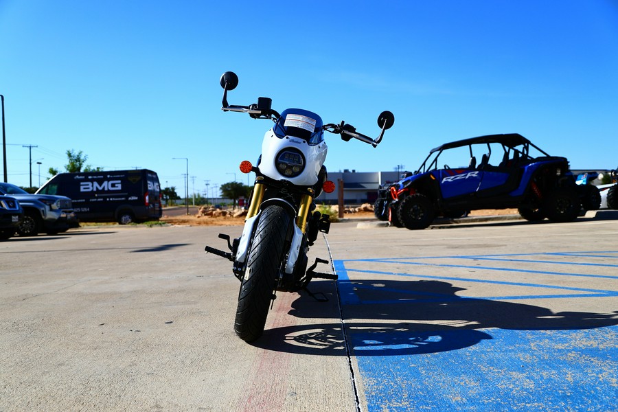 2025 Indian Motorcycle 101 SCOUT WHITE METALLIC WITH GRAPHICS TEC 49ST