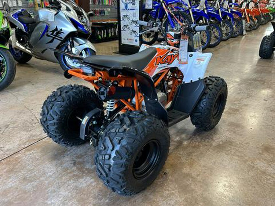 2026 Kayo Predator 110