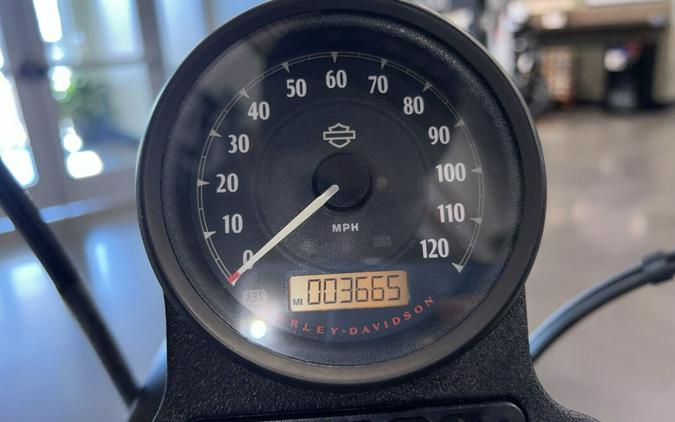 2019 Harley-Davidson Iron 883