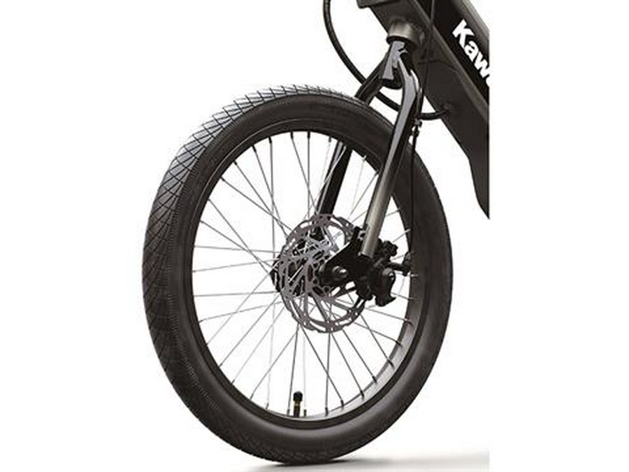 2025 Kawasaki Elektrode 20FS