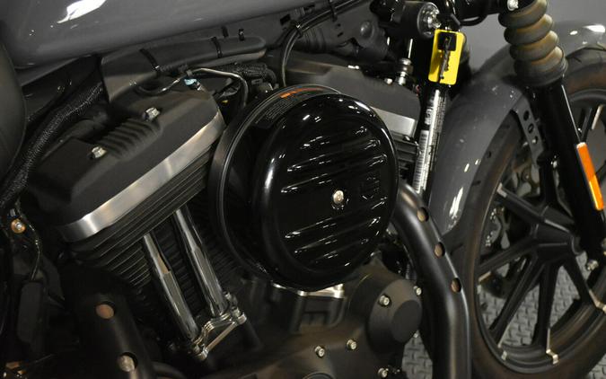 2022 Harley-Davidson Iron 883