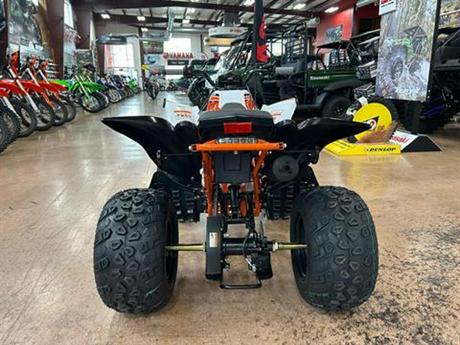 2025 Kayo Storm 150 EFI