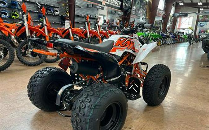 2025 Kayo Storm 150 EFI