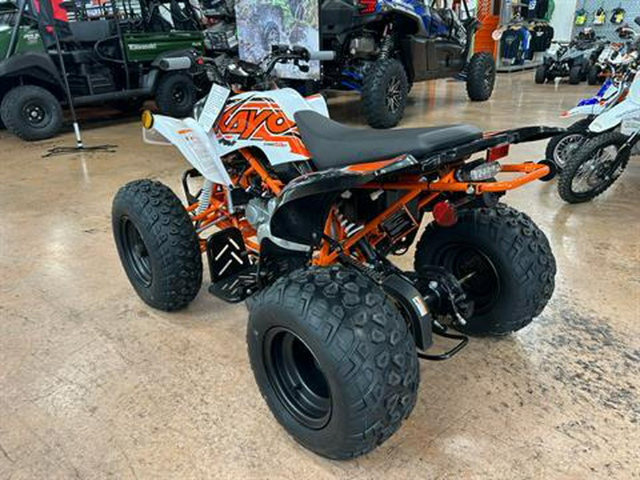 2025 Kayo Storm 150 EFI