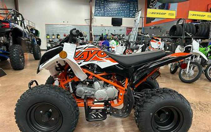 2025 Kayo Storm 150 EFI