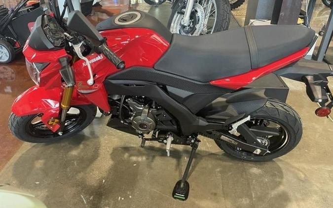 2023 Kawasaki Z125 PRO