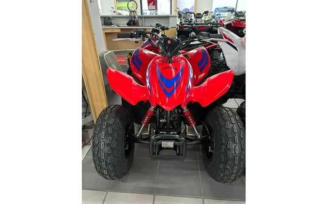 2024 Honda TRX90X