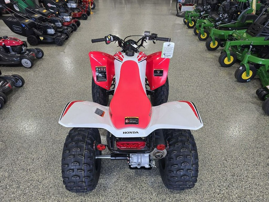 2024 Honda® TRX250X