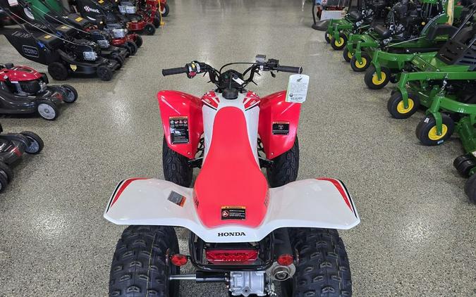 2024 Honda® TRX250X