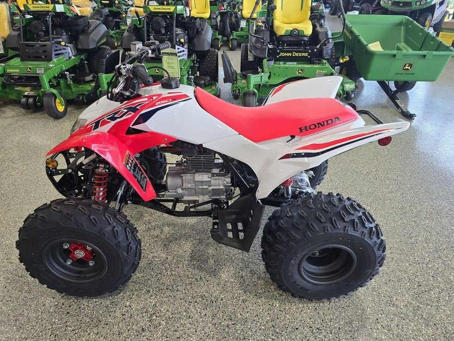 2024 Honda® TRX250X