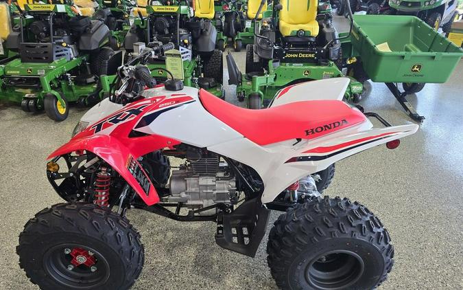 2024 Honda® TRX250X